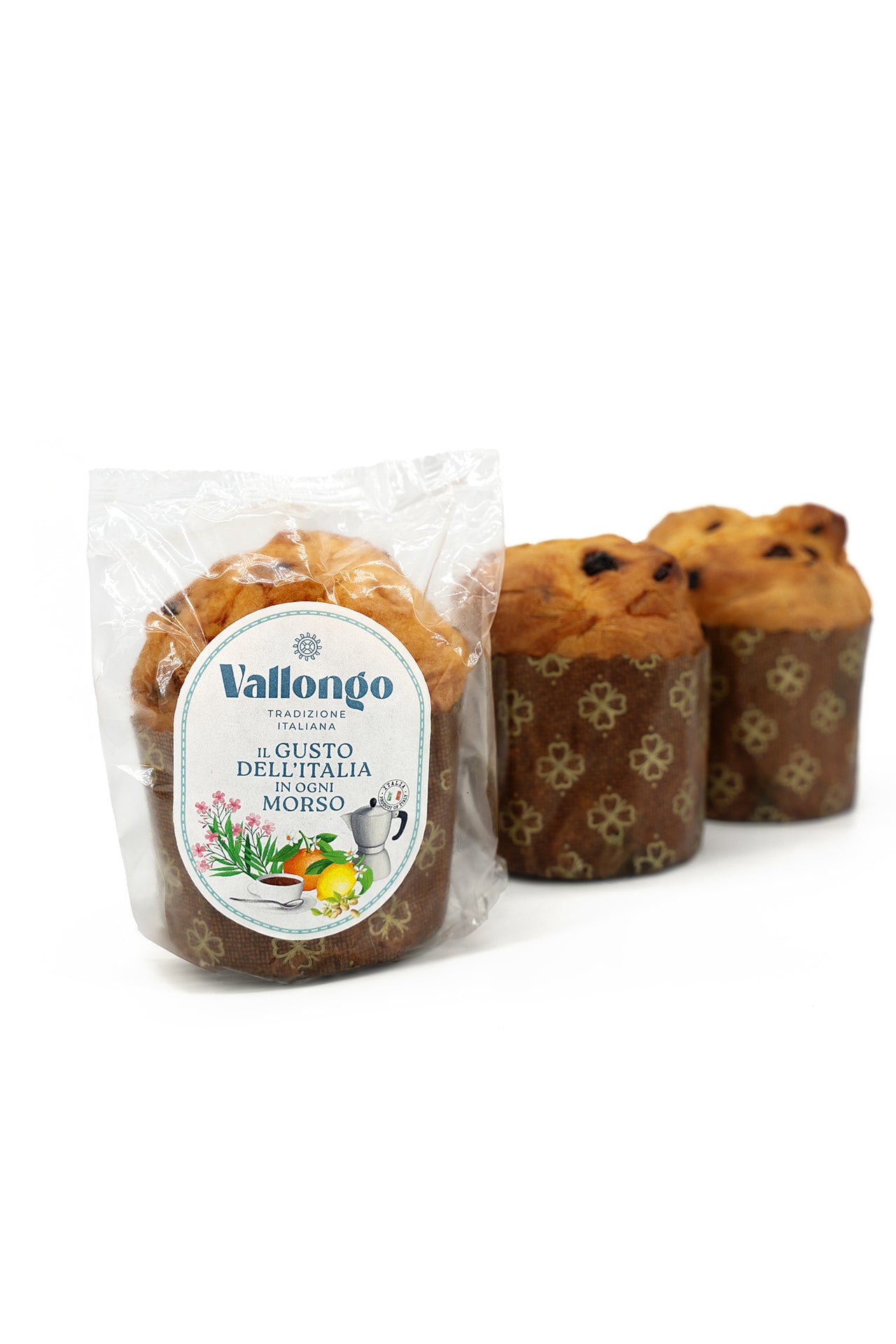 Panettone Classico Senza Glassa 100 g Nella Coloratissima Latta Musicale